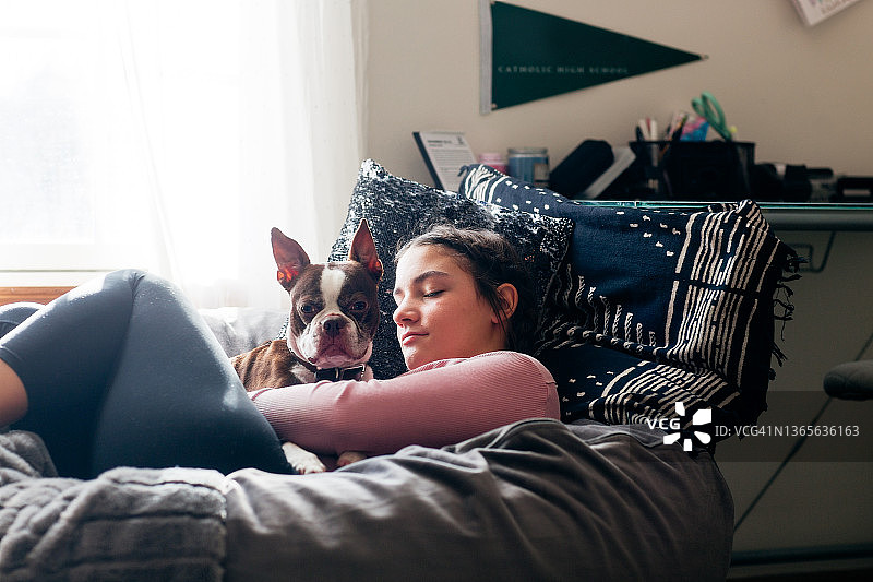 少女拥抱波士顿梗犬图片素材