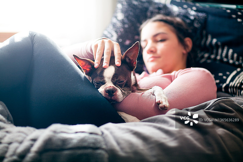 少女拥抱波士顿梗犬图片素材