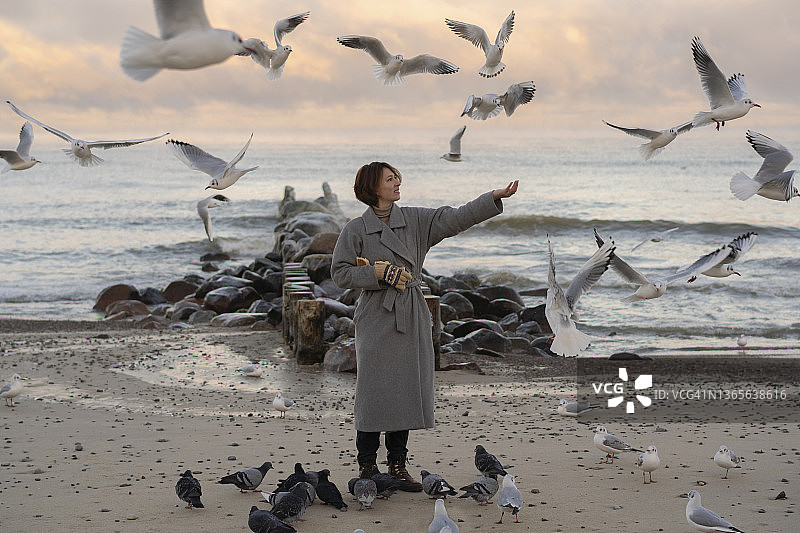 年轻女人在日落时喂海鸥和鸽子图片素材