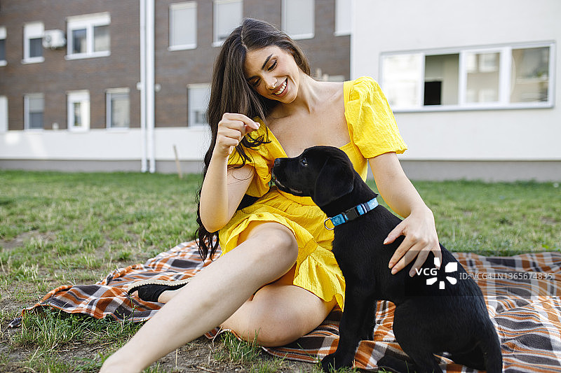 户外与宠物狗玩耍的黄裙年轻女人图片素材