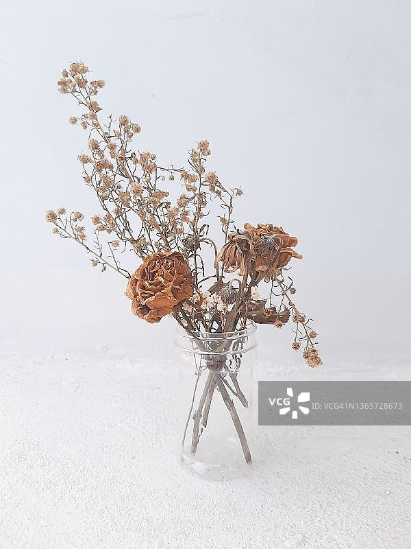 瓶中的干花图片素材