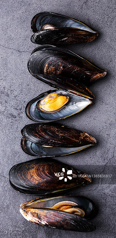 海鲜贻贝图片素材