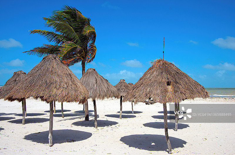 墨西哥尤卡坦州普罗格雷索海滩上的帕拉帕遮阳棚图片素材