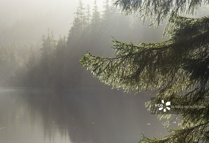 湖上的清晨薄雾图片素材