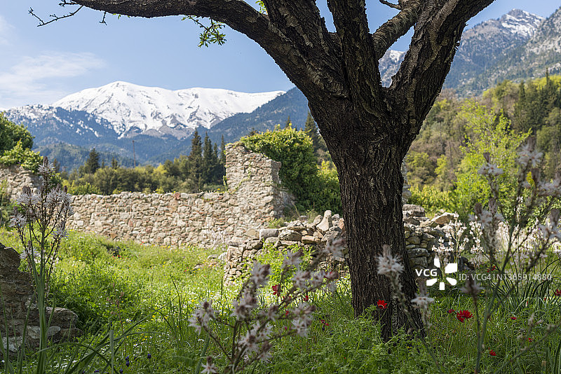 米斯特拉斯历史遗址的古老墙壁图片素材