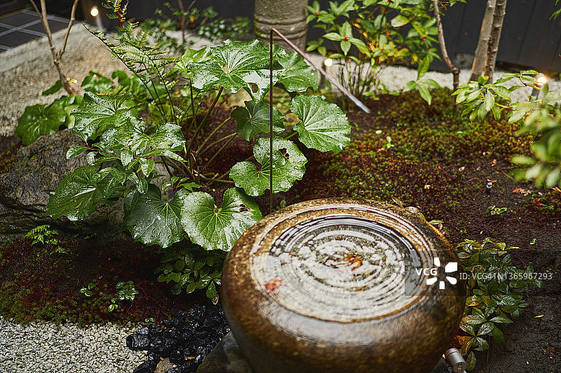 日本京都町屋酒店的日式庭院图片素材