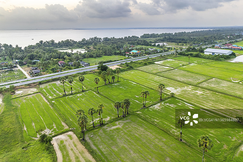 稻田鸟瞰图图片素材