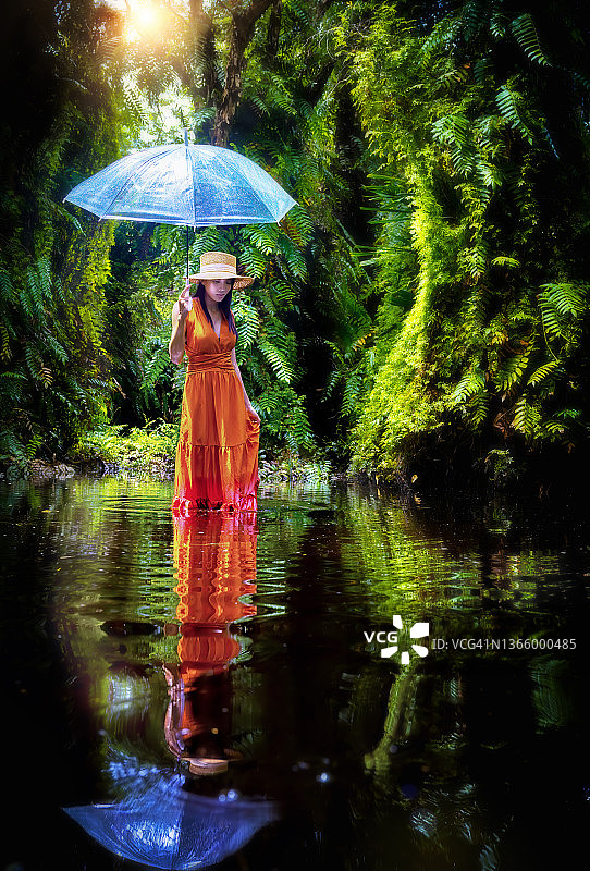 狂野丛林图片素材