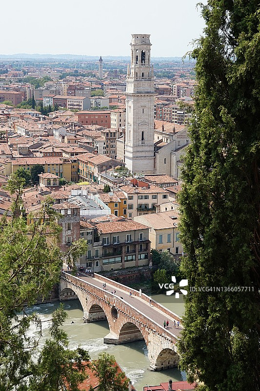 意大利维罗纳树木间的教堂塔楼和彼得拉桥图片素材