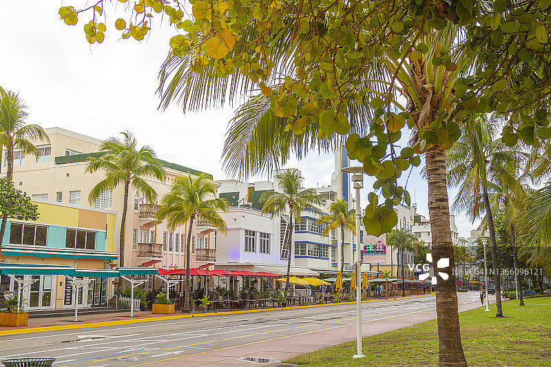 美国佛罗里达州迈阿密海洋大道景观图片素材