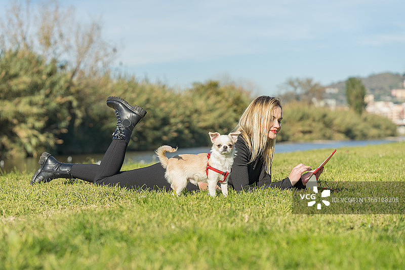 年轻女子在户外阳光明媚的日子里与她的狗一起使用平板电脑图片素材