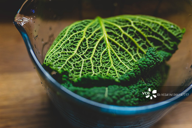 绿色羽衣甘蓝图片素材