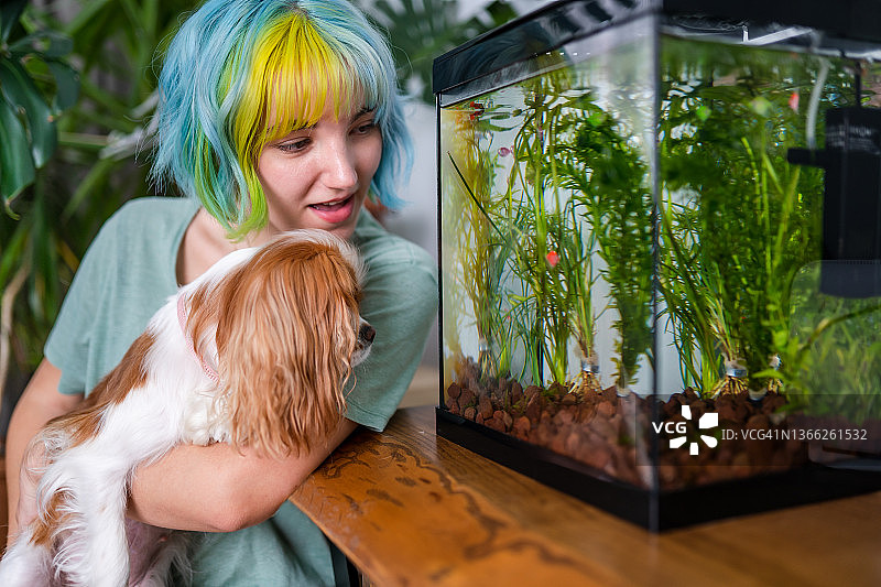 彩色头发的年轻女孩和她的狗看着鱼缸图片素材