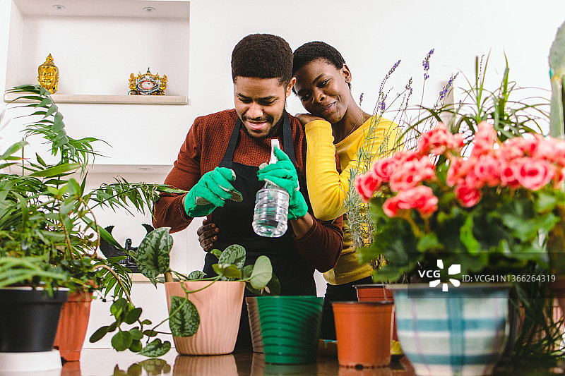 年轻的非裔美国夫妇在家中恋爱园艺图片素材