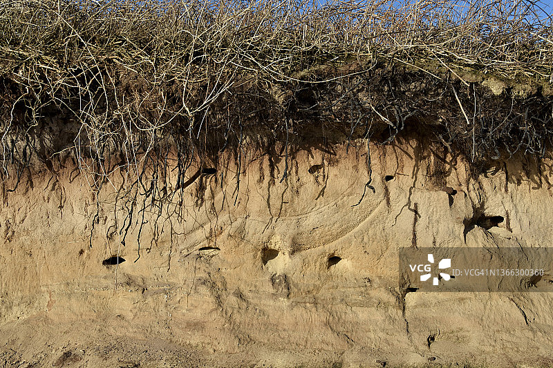 等待旅行者的归来：沙燕的巢穴图片素材