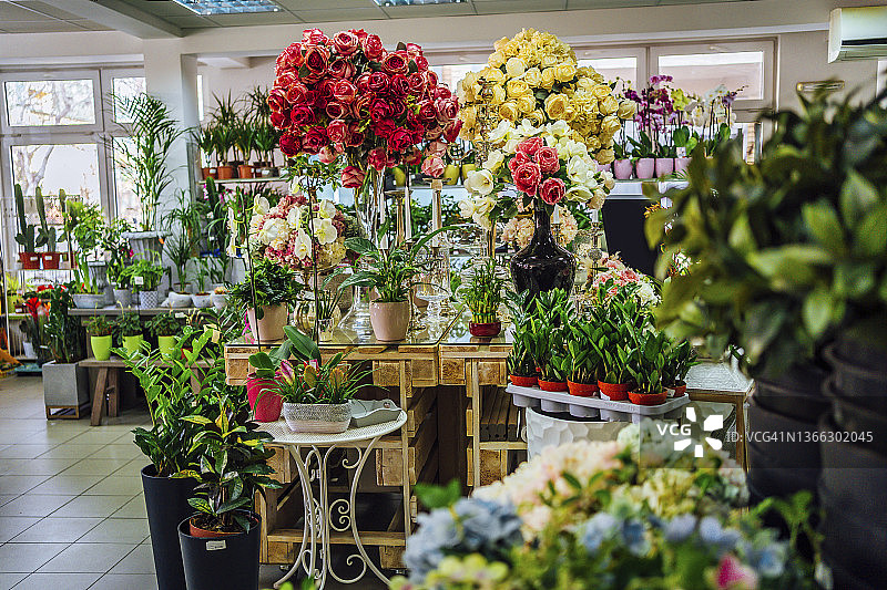 花店内部图片素材