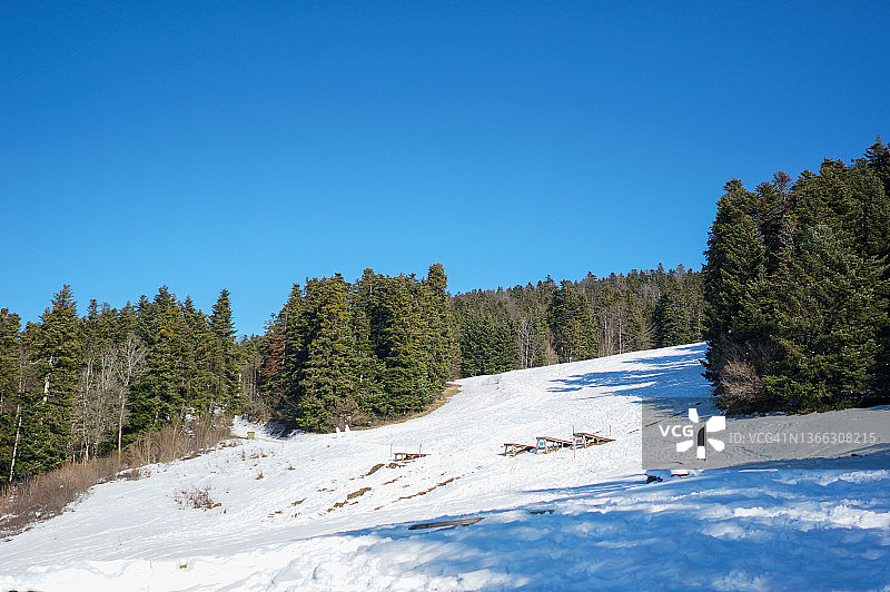 雪山北坡与杉树图片素材
