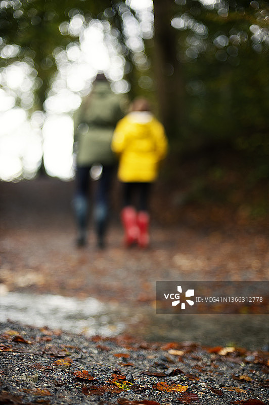 湿地上散落的秋叶与行人图片素材