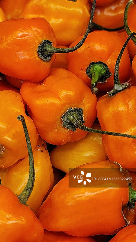 彩色甜椒图片素材