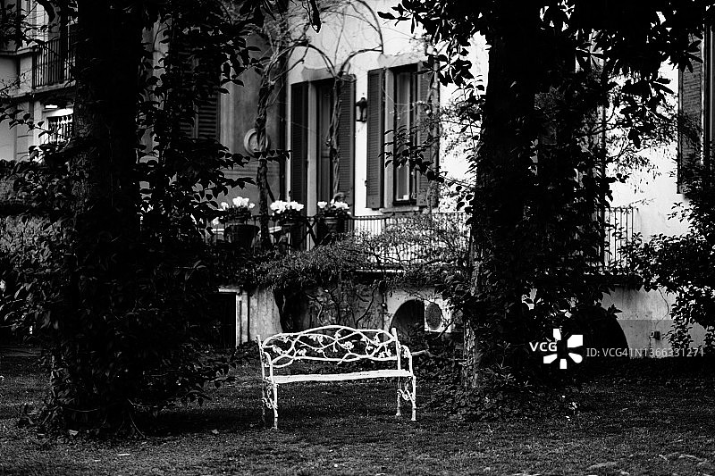 树木中的长椅图片素材