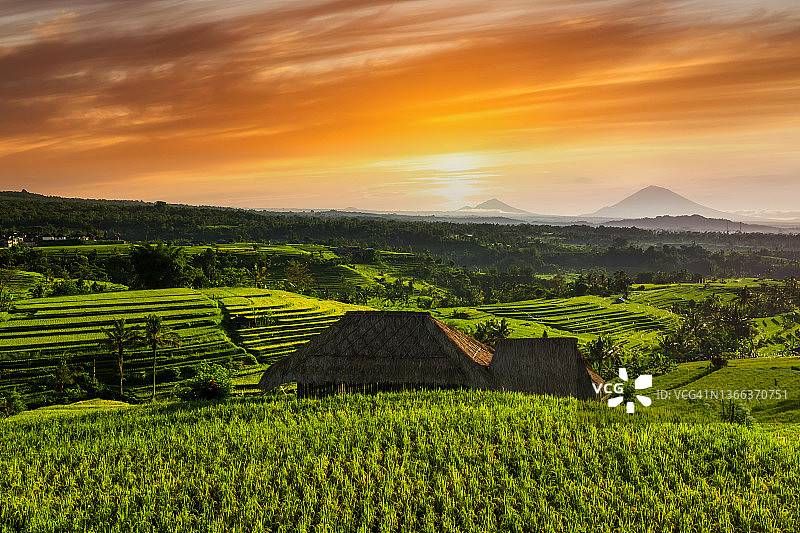 印度尼西亚巴厘岛Jatiluwih梯田日出图片素材