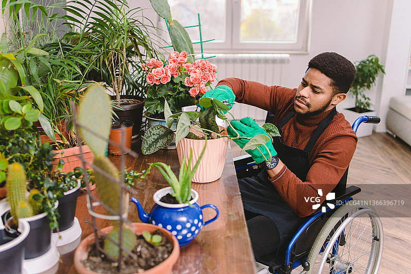 非裔美国残疾青年在家中享受照顾植物的时光图片素材