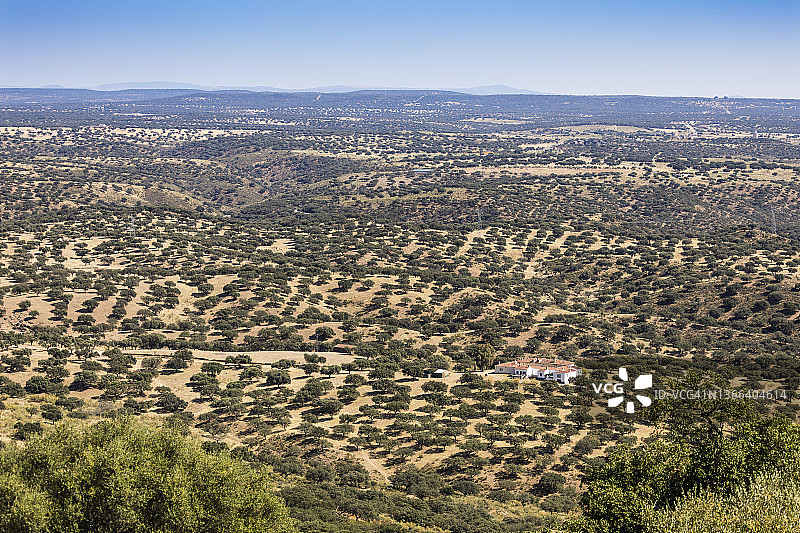 西班牙蒙弗拉古埃国家公园周围的景观图片素材