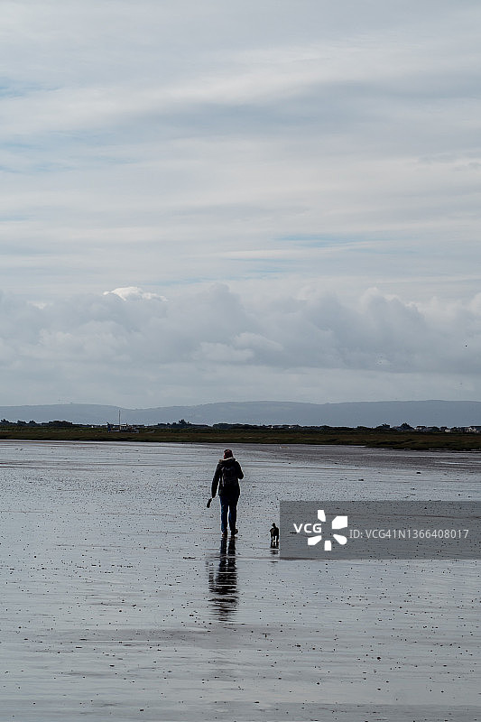 在海滩上遛狗的女人图片素材