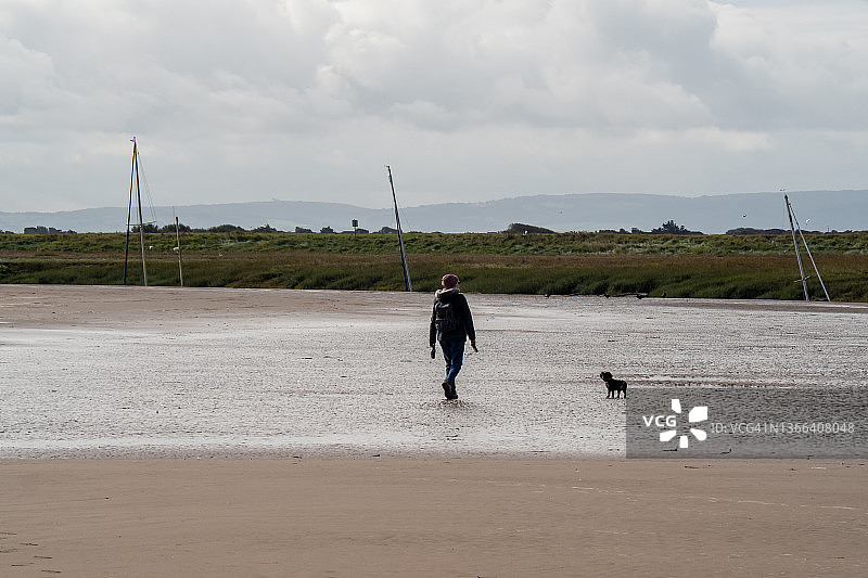 在海滩上遛狗的女人图片素材