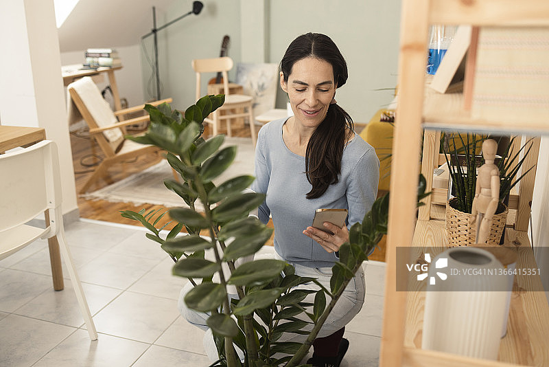 快乐的女人正在照顾她的室内植物并使用智能手机图片素材