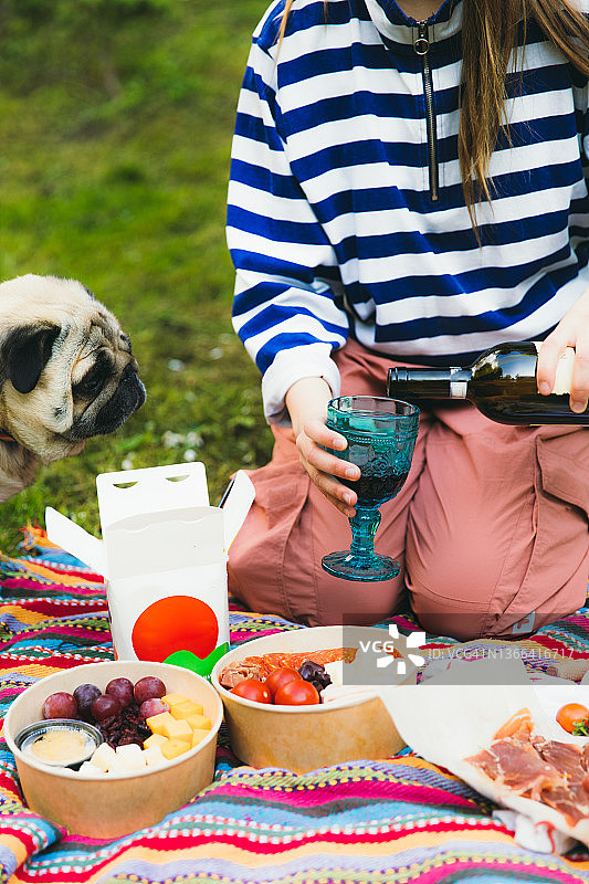 女人和狗在公园里野餐，吃炒面图片素材