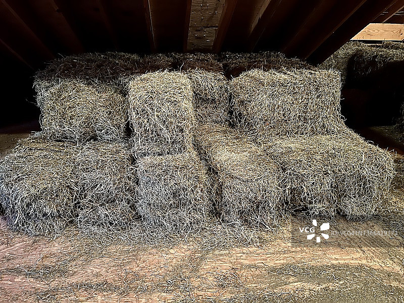 一捆捆的干草图片素材