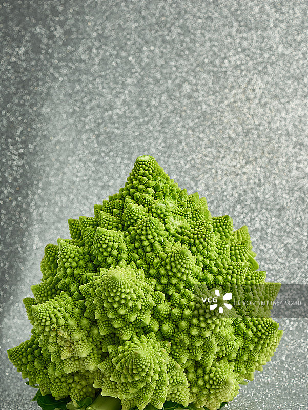 银色背景上的绿色宝塔花菜图片素材