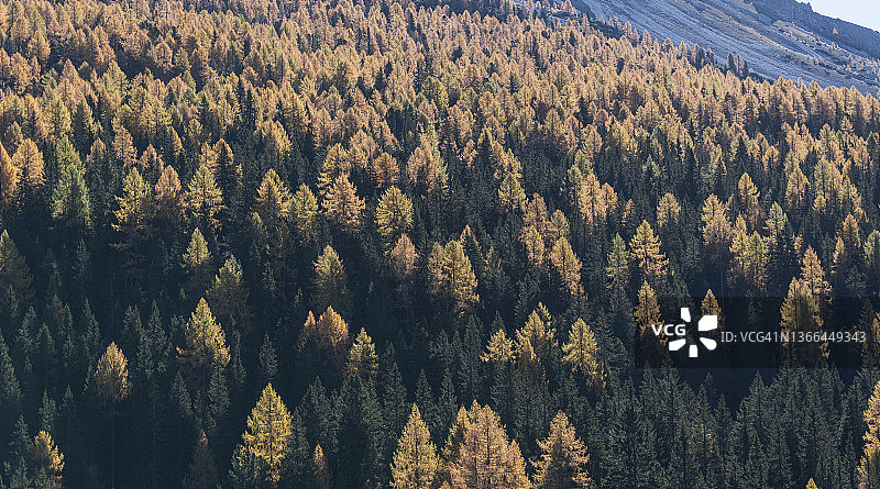 秋季山地森林图片素材