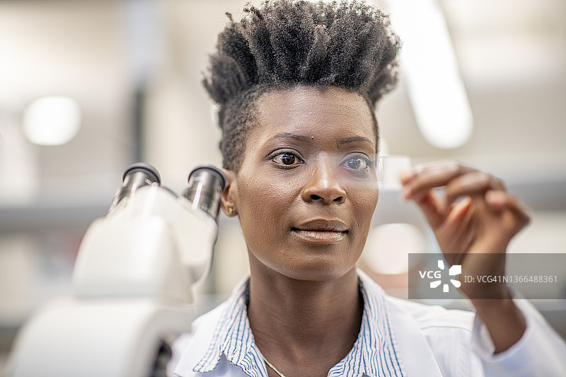 女化学家在放入显微镜前分析测试样本图片素材