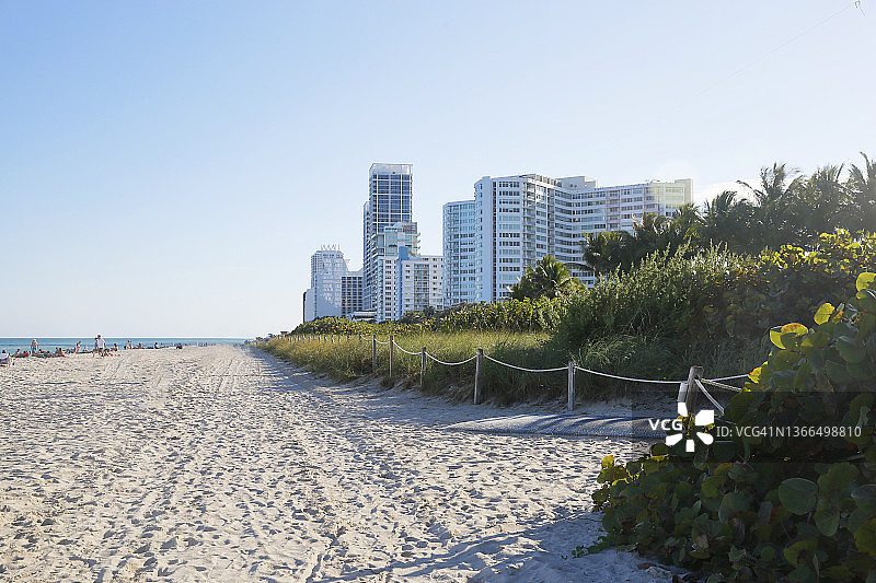 以灌木和植物为背景，摩天大楼为背景的海滩日落景色图片素材