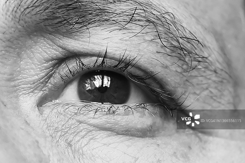 人眼特写图片素材