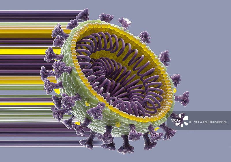 新冠Omicron变种图片素材