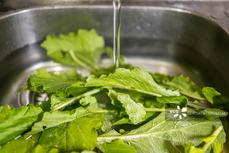 浸泡在水中清洗的绿色卷心菜叶图片素材