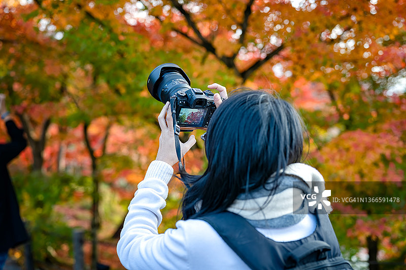 花园的快乐时光图片素材
