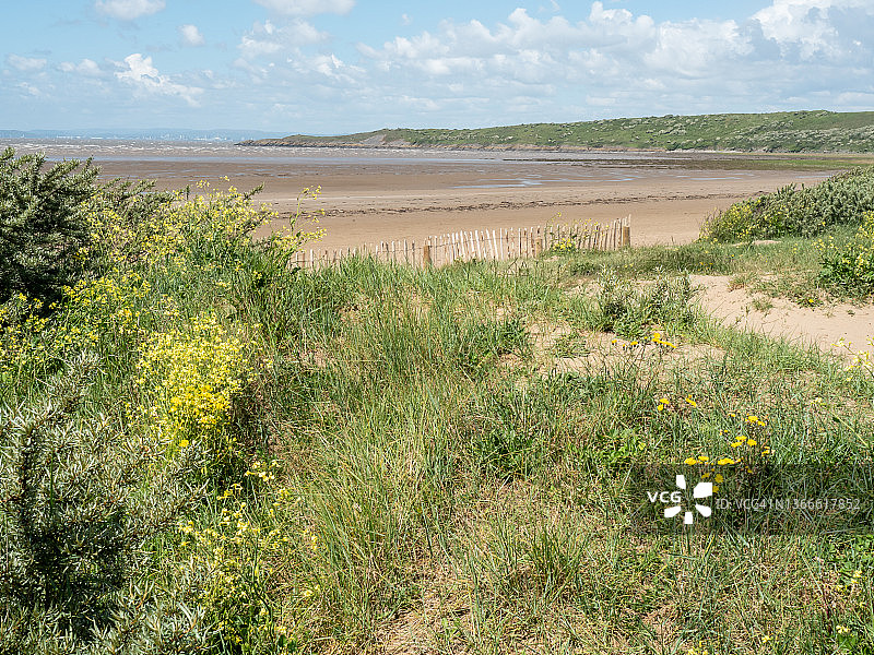萨默塞特郡的沙湾海滩和沙丘图片素材