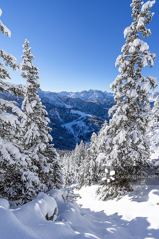 耶拿山及贝希特斯加登阿尔卑斯山脉的雪景图片素材