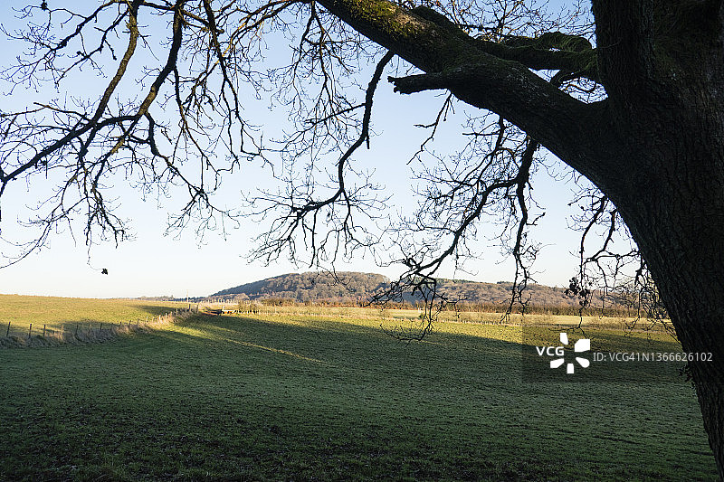 怀伊河谷上方的树木剪影；图片来自蒙茅斯郡路和奥法堤路，英国威尔士蒙茅斯郡。一月图片素材