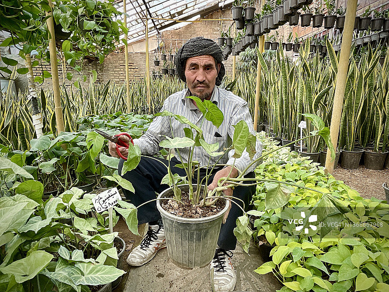 在温室里工作的阿富汗男人图片素材
