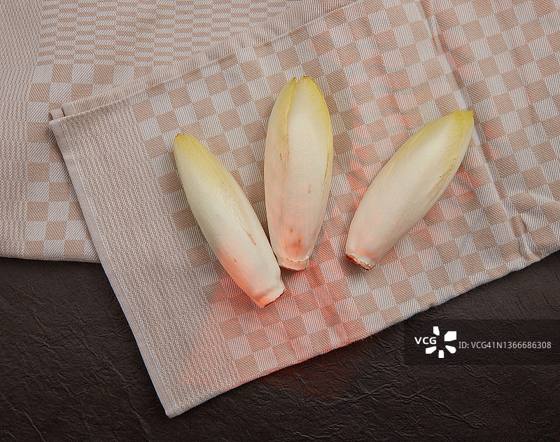 白玉兰图片素材