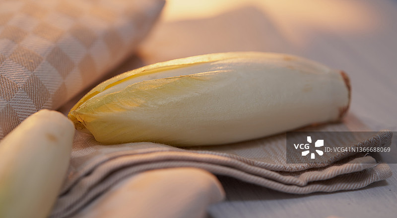 白玉兰图片素材