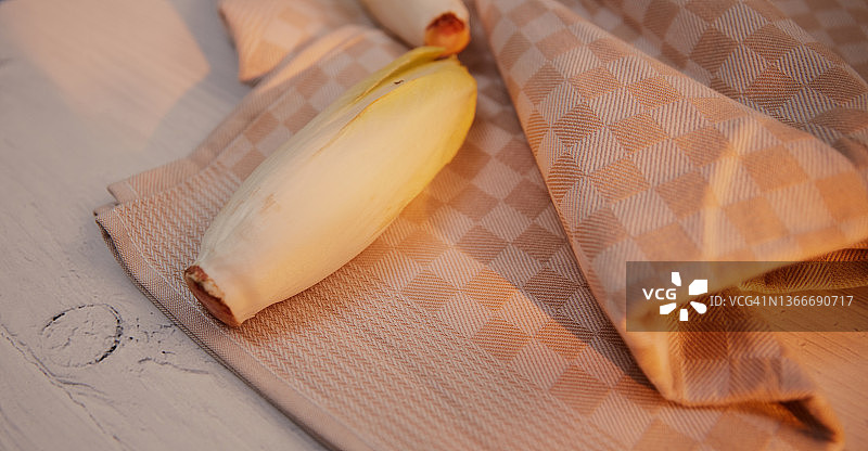 白玉兰图片素材