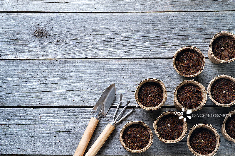 装满土壤的可生物降解泥炭盆中的种子，园艺工具，小铲子和耙子。种植和播种花卉、植物、水果或蔬菜。种植有机农场生态友好型产品。园艺概念。空间副本。图片素材