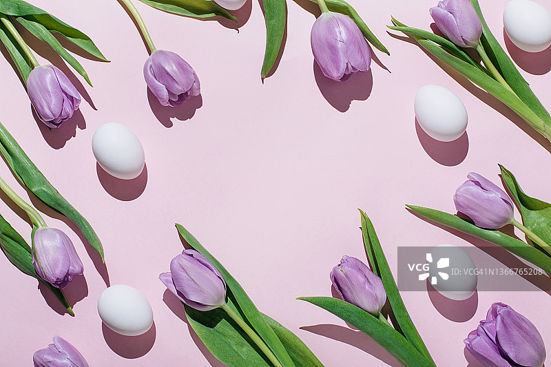 粉色背景上的白色复活节彩蛋和丁香郁金香，俯视，平铺，留白区域图片素材