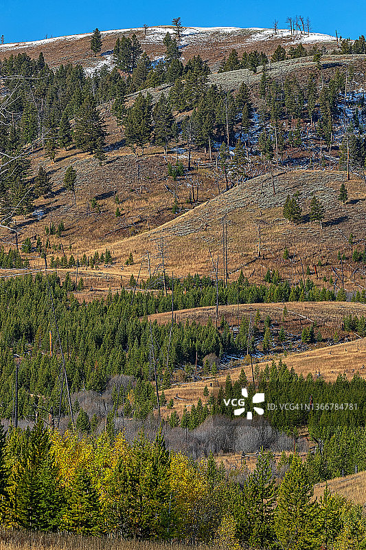 黄石公园景观图片素材